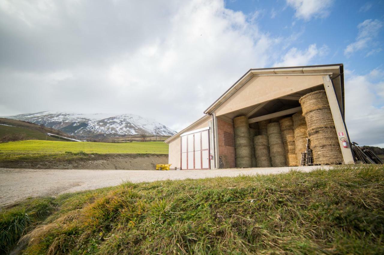 La Fattoria Dei Sibillini Villa Montemonaco Eksteriør billede
